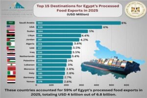 تعرف على خريطة صادرات الصناعات الغذائية المصرية خلال 2025